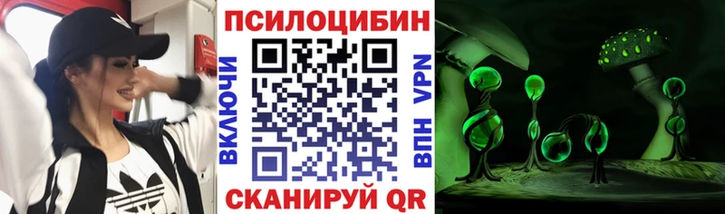 Псилоцибиновые грибы GOLDEN TEACHER  Питкяранта 